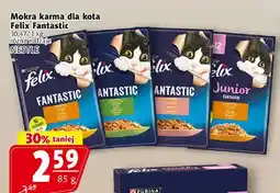 Prim Market Mokra karma dla kota Fantastic oferta