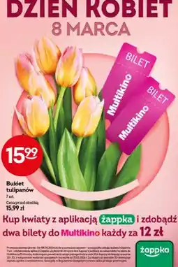 Żabka Bukiet tulipanów oferta