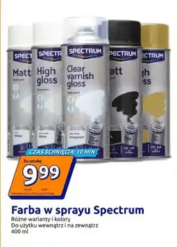 Action Farba w sprayu oferta