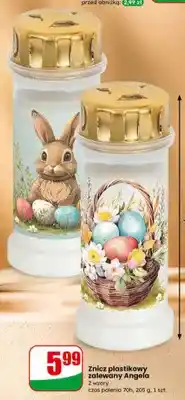 Dino Znicz plastikowy zalewany oferta