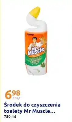 Action Środek do czyszczenia toalety oferta