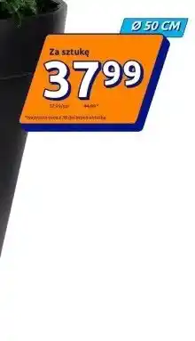 Action Doniczka Ø50 cm oferta