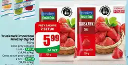 Dino Truskawki mrożone oferta