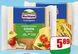 Dino Ser topiony plastry 3 rodzaje oferta