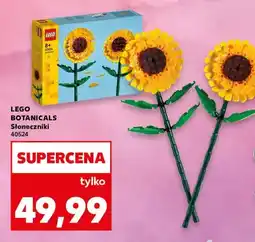 Kaufland Klocki BOTANICALS Słoneczniki 40524 oferta