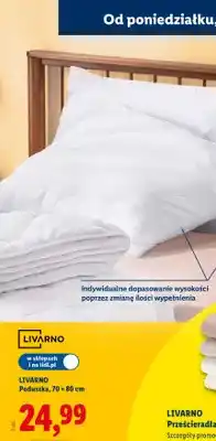 Lidl Poduszka 70×80 cm oferta