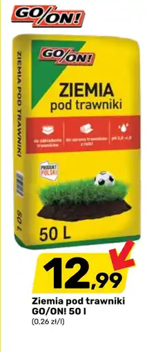 Bricomarche Ziemia GO/ON! oferta