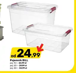 Bricomarche Pojemnik oferta