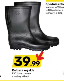 Bricomarche Kalosze oferta