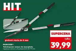 Kaufland Nożyce do żywołpłotu Parkside oferta