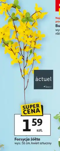 Auchan Sztuczny kwiat Actuel oferta