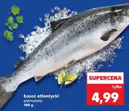 Kaufland Łosoś Kaufland oferta