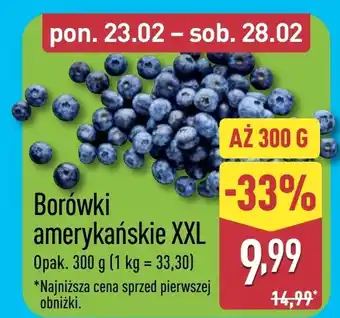 ALDI Borówki amerykańskie oferta