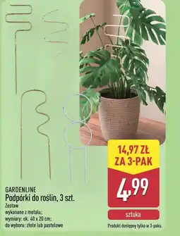 ALDI Podpora do roślin Gardenline oferta