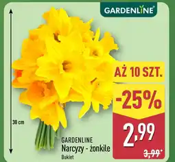 ALDI Narcyz Gardenline oferta