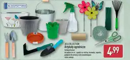 ALDI Konewka Jes collection oferta