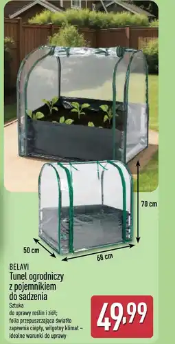 ALDI Tunel ogrodniczy Belavi oferta
