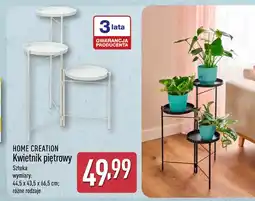 ALDI Kwietnik Home Creation oferta