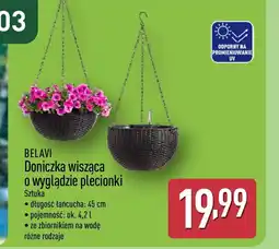 ALDI Doniczka Belavi oferta