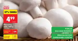 Biedronka Pieczarki Polski oferta