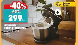 Biedronka Robot planetarny Hoffen oferta