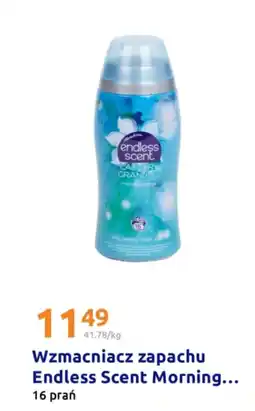 Action Wzmacniacz zapachu Endless Scent Morning oferta