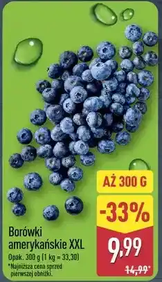 ALDI Borówki amerykańskie XXL oferta