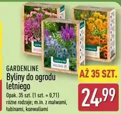 ALDI GARDENLINE Byliny do ogrodu letniego oferta