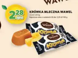 Stokrotka Krówka mleczna oferta