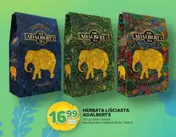 Stokrotka Herbata liściasta oferta