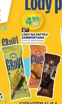 Stokrotka Lody na patyku różne rodzaje oferta