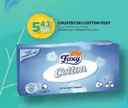 Stokrotka Chusteczki Cotton oferta