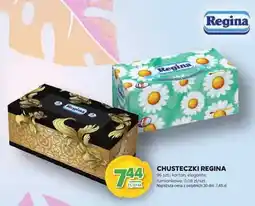 Stokrotka Chusteczki karton, elegante, rumianikowe oferta