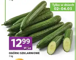 Stokrotka Ogórki szklarniowe oferta