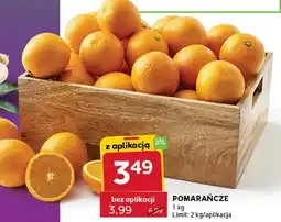 Stokrotka Pomarańcze oferta