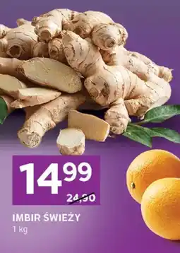Stokrotka Imbir świeży oferta