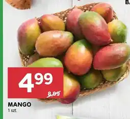 Stokrotka Mango oferta