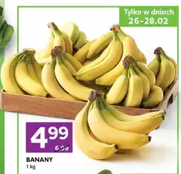 Stokrotka Banany oferta