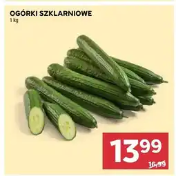 Stokrotka Ogórki szklarniowe oferta
