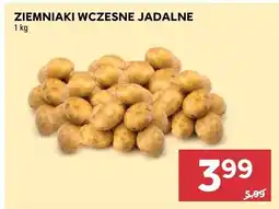 Stokrotka Ziemniaki wczesne jadalne oferta