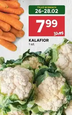 Stokrotka Kalafior oferta