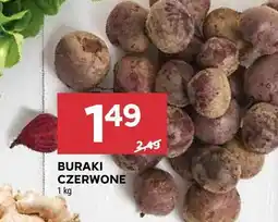 Stokrotka Buraki czerwone oferta