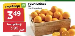 Stokrotka Pomarańcze oferta