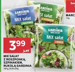 Stokrotka Mix sałat z roszponką oferta