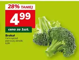 Hitpol Brokuł oferta