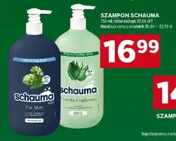 Stokrotka Szampon różne rodzaje oferta