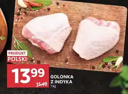 Stokrotka Golonka z indyka oferta