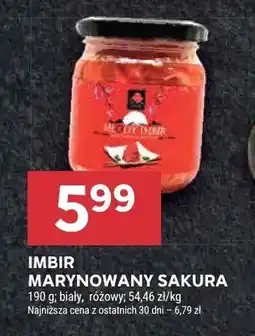 Stokrotka Imbir marynowany oferta