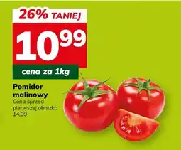 Hitpol Pomidor malinowy oferta