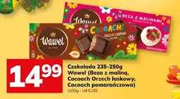 Hitpol Czekolada 235-250g Wawel Beza z maliną, Cocoach Orzech laskowy, Cocoach pomarańczowa oferta